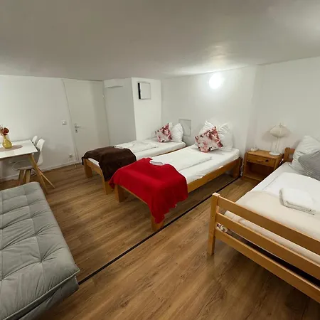 Friends Corner アパート ザルツブルク