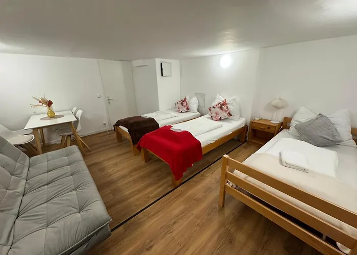 Friends Corner アパート ザルツブルク